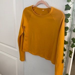 PacSun Basics Cropped Shirt